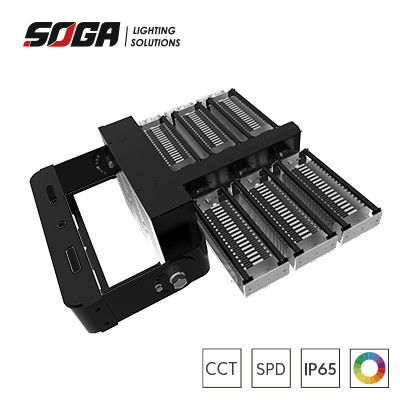 खरीदें Gary or Black Housing Color Rugged IP66 एलईडी स्टेडियम लाइट्स with Flexible Fixtures and Detachable Driver Box online manufacture